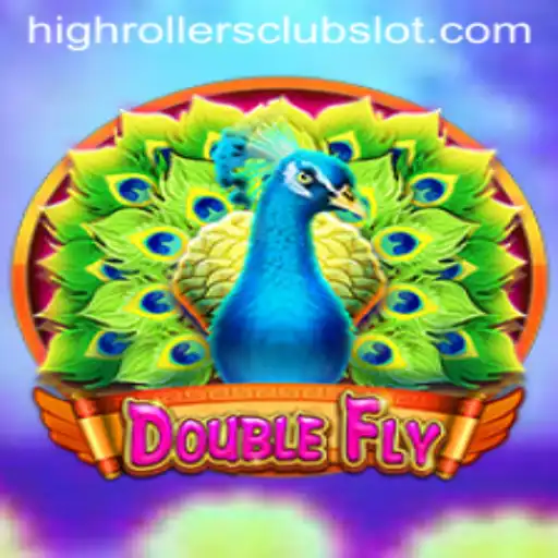 Exploring DoubleFly: An Inside Look at the HighRollersClub Experience